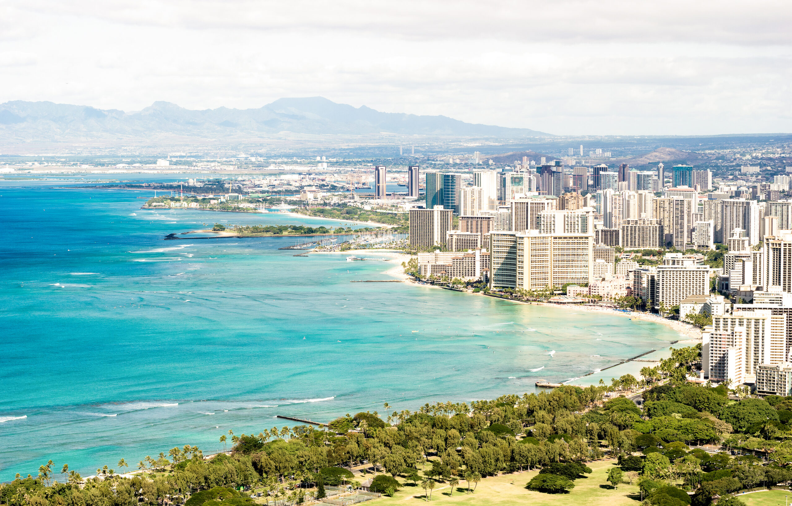 are there snakes in hawaii?