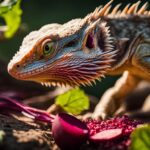 can bearded dragons eat beetroot