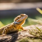 can bearded dragons eat flies