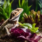 can bearded dragons eat radicchio